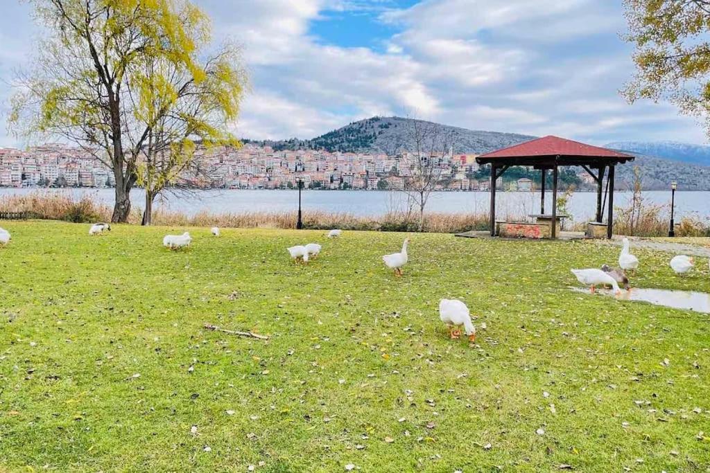 Lida'S Apartment Lake View كاستوريا المظهر الخارجي الصورة